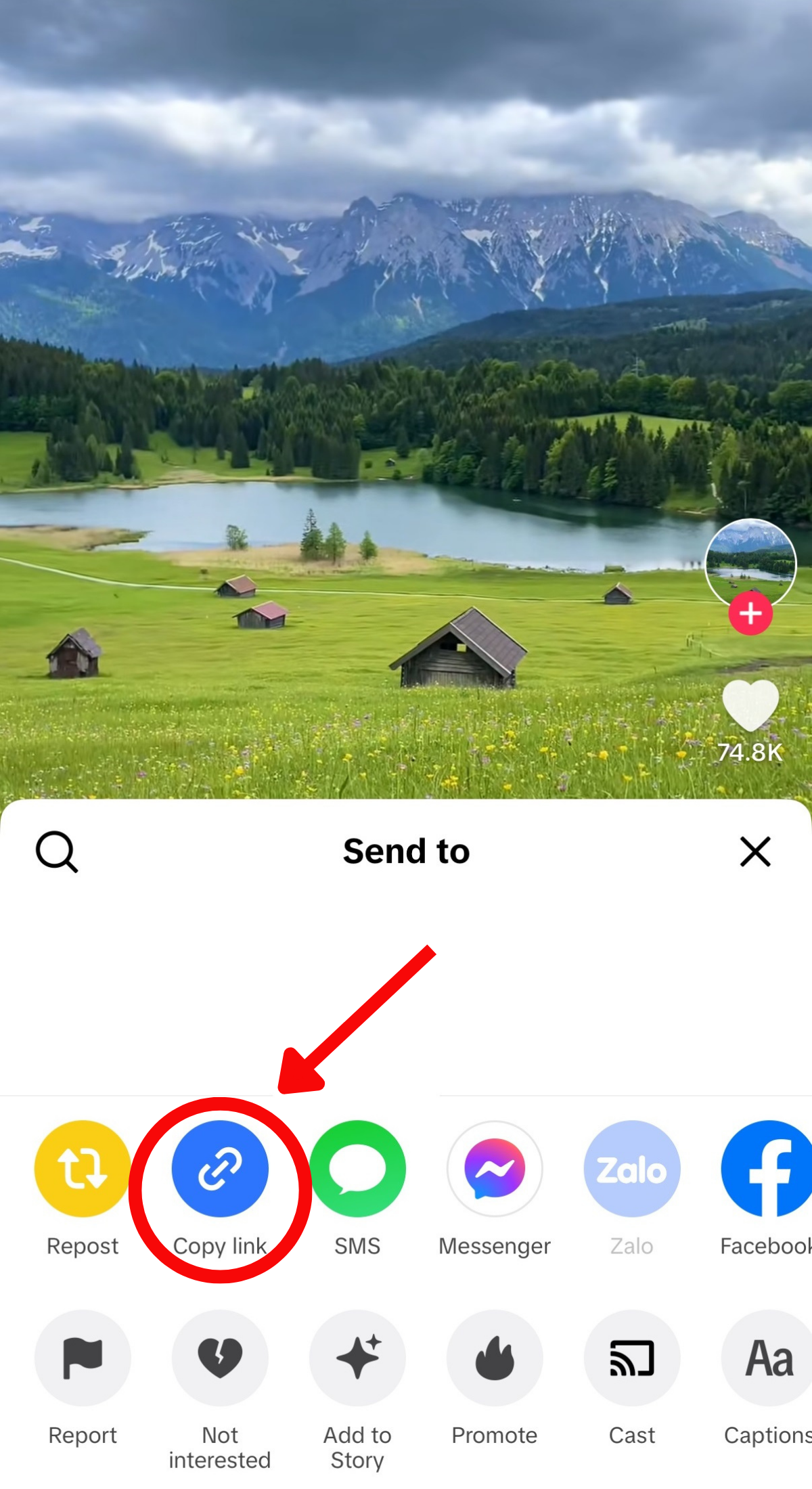 Copy link story tiktok