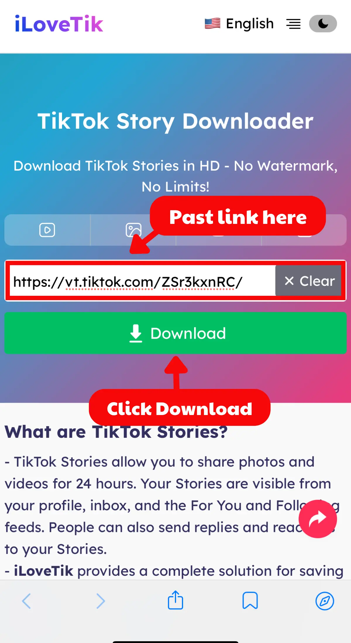 Paste link to iLoveTik